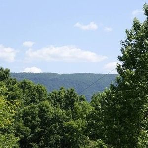 Meet your Posher, Peter